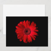 Flowers Red Gerbera Daisy Bedankkaart (Voorkant / Achterkant)