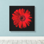 Flowers | Red Gerbera Daisy Canvas Afdruk (Insitu (Houten vloer))