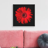 Flowers | Red Gerbera Daisy Canvas Afdruk (Insitu (Woonkamer))