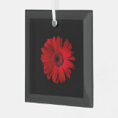 Flowers Red Gerbera Daisy Glas Ornament (Voorkant links)