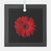 Flowers Red Gerbera Daisy Glas Ornament (Voorkant)