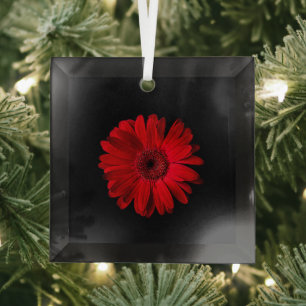 Flowers Red Gerbera Daisy Glas Ornament
