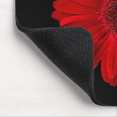Flowers Red Gerbera Daisy Muismat (Hoek)