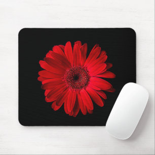 Flowers Red Gerbera Daisy Muismat