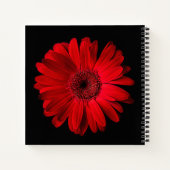 Flowers Red Gerbera Daisy Notitieboek (Achterkant)
