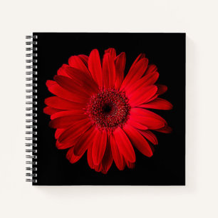 Flowers Red Gerbera Daisy Notitieboek