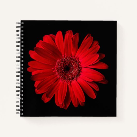 Flowers Red Gerbera Daisy Notitieboek (Voorkant)