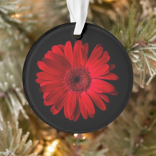 Flowers Red Gerbera Daisy Ornament (Boom)