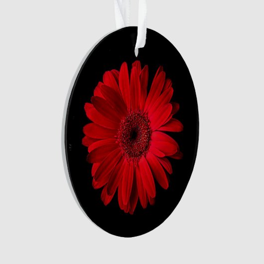 Flowers Red Gerbera Daisy Ornament (voorkant)