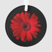 Flowers Red Gerbera Daisy Ornament (achterkant)