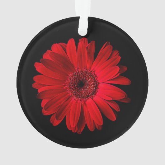 Flowers Red Gerbera Daisy Ornament (achterkant)