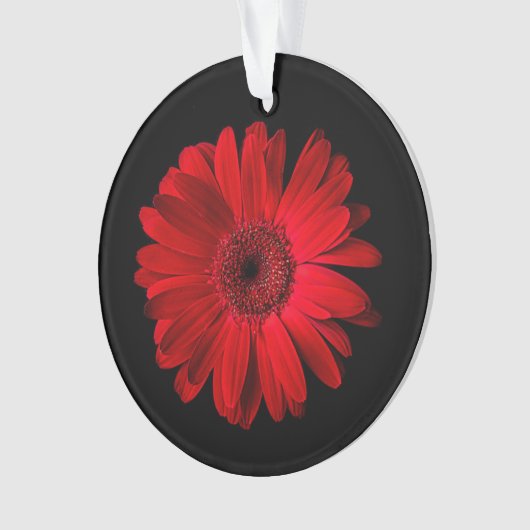 Flowers Red Gerbera Daisy Ornament (voorkant)