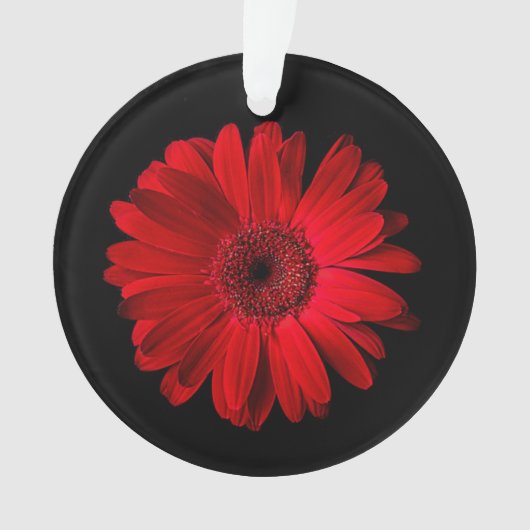 Flowers Red Gerbera Daisy Ornament (voorkant)