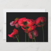 Flowers | Red Poppies Bedankkaart (Voorkant)