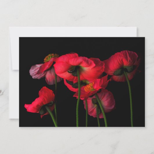 Flowers | Red Poppies Bedankkaart (Voorkant)
