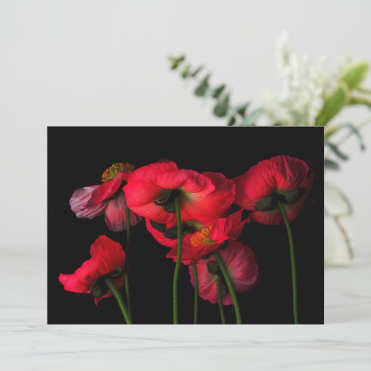 Flowers | Red Poppies Bedankkaart (Staand voorkant)