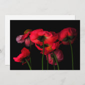 Flowers | Red Poppies Bedankkaart (Voorkant / Achterkant)