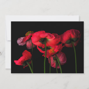 Flowers   Red Poppies Bedankkaart
