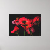 Flowers | Red Poppies Canvas Afdruk (Voorkant)