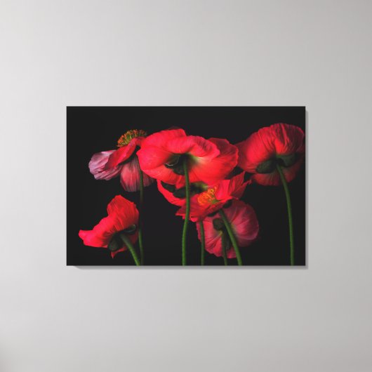 Flowers | Red Poppies Canvas Afdruk (Voorkant)