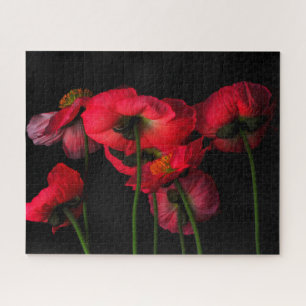 Flowers   Red Poppies Legpuzzel