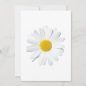 Flowers | Single Daisy Bedankkaart (Voorkant)
