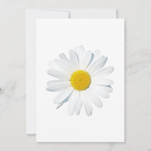 Flowers | Single Daisy Bedankkaart (Voorkant)
