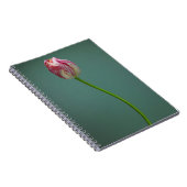 Flowers Single Tulip Flower Notitieboek (Rechterzijde)