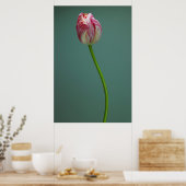 Flowers Single Tulip Flower Poster (Keuken)