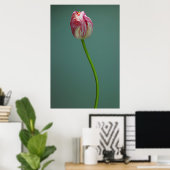 Flowers Single Tulip Flower Poster (Thuiskantoor)
