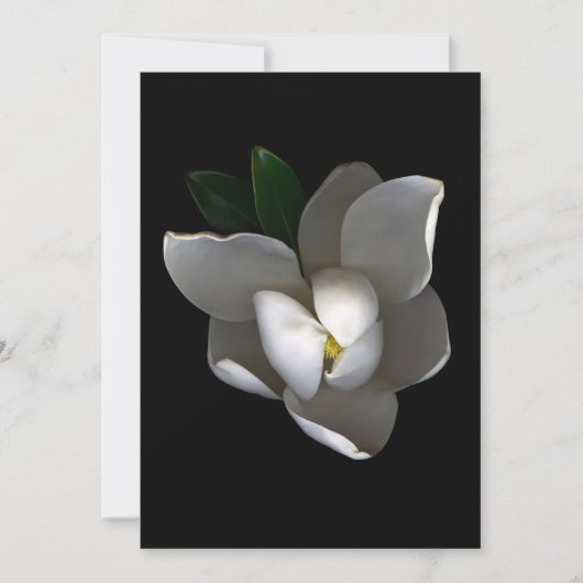 Flowers | Single White Magnolia Blossom Bedankkaart (Voorkant)