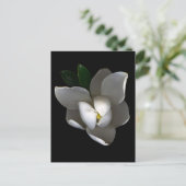 Flowers Single White Magnolia Blossom Briefkaart (Staand voorkant)