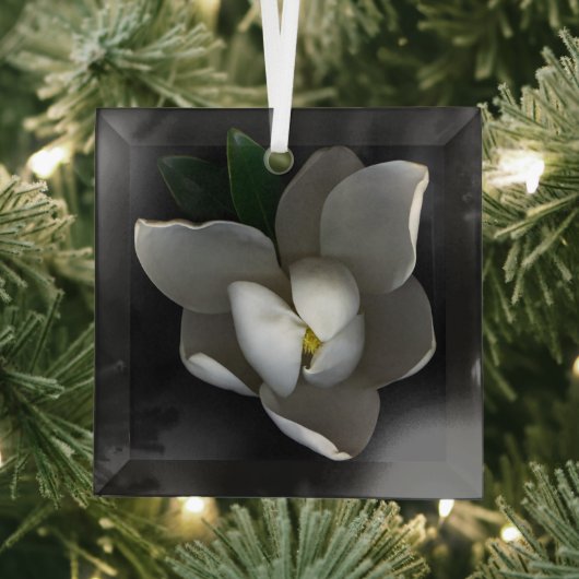 Flowers Single White Magnolia Blossom Glas Ornament (Insitu)