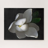 Flowers Single White Magnolia Blossom Legpuzzel (Horizontaal)