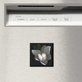 Flowers Single White Magnolia Blossom Magneet (Insitu (Vaatwasser))