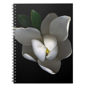 Flowers Single White Magnolia Blossom Notitieboek