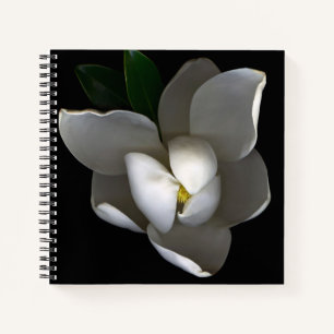 Flowers Single White Magnolia Blossom Notitieboek