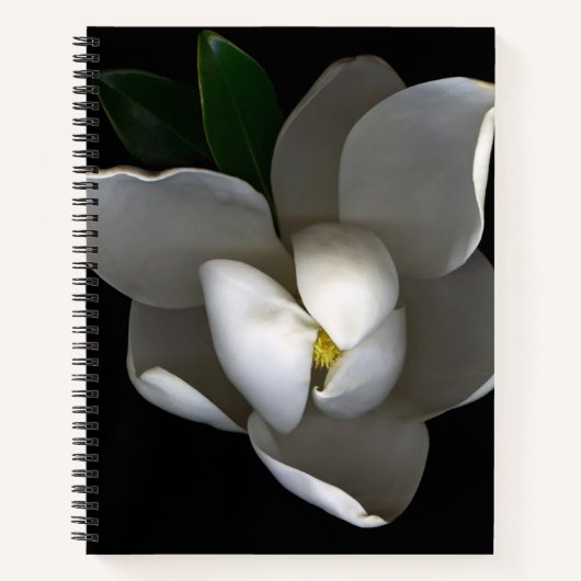 Flowers | Single White Magnolia Blossom Notitieboek (Voorkant)