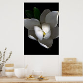 Flowers Single White Magnolia Blossom Poster (Keuken)