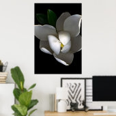 Flowers Single White Magnolia Blossom Poster (Thuiskantoor)