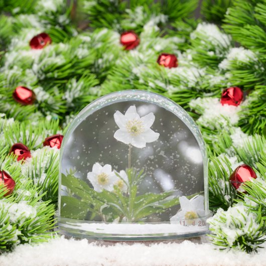 flowers sneeuwbol (Kerstmis)