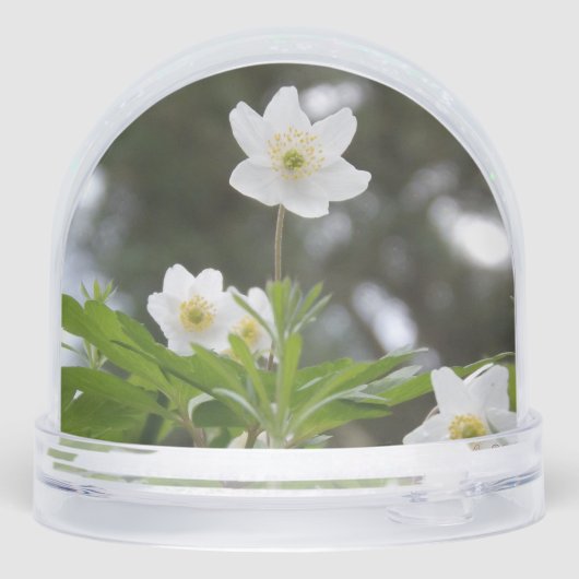 flowers sneeuwbol (Achterkant)