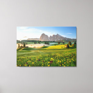 Flowers   Spring Alpe di Siusi Langkofel Canvas Afdruk