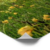 Flowers | Spring Alpe di Siusi Langkofel Poster (Hoek)