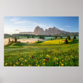 Flowers | Spring Alpe di Siusi Langkofel Poster (Voorkant)