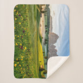 Flowers | Spring Alpe di Siusi Langkofel Sherpa Deken (Voorkant)