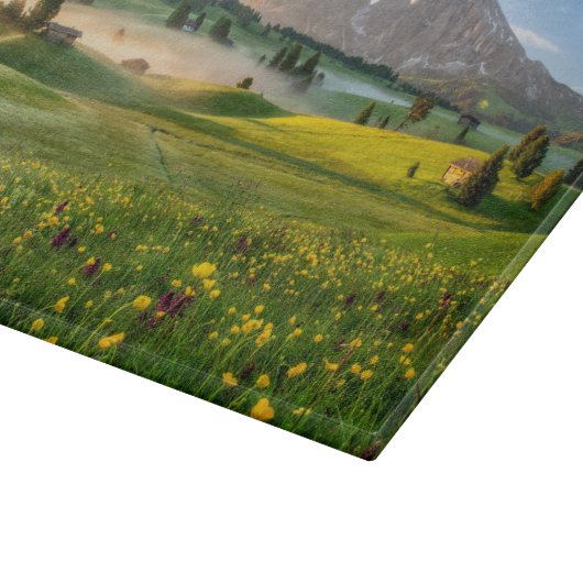 Flowers | Spring Alpe di Siusi Langkofel Snijplank (Hoek)