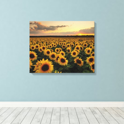 Flowers | Sunflower Field Canvas Afdruk (Insitu (Houten vloer))