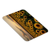 Flowers | Sunflower Field Magneet (Rechterzijde)