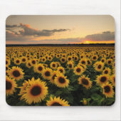 Flowers | Sunflower Field Muismat (Voorkant)